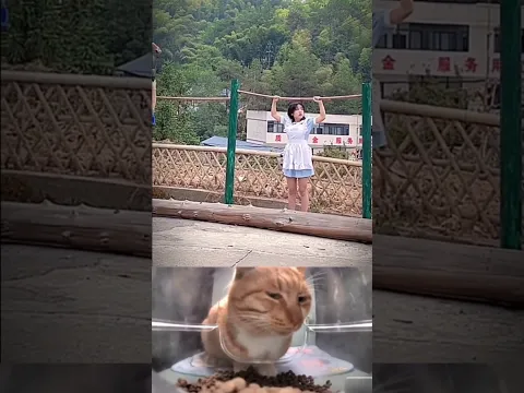bro the maid is too strong haha😂#cat #funny #explore #memes #bombastic #viral #shorts