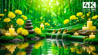 Relax Music Deep Sleep - Study, Relax, Work, De-stress, Just Listen (NO-ADS) 1HOUR