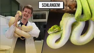 SCHLANGEN | Haus des Meeres