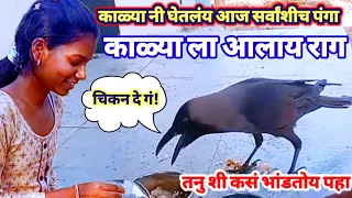काळ्या आज सर्वांशी घेतोय पंगा | काळ्याला किती राग येतो आहे पहा |बोलणारा कावळा #kavala #talkingcrow