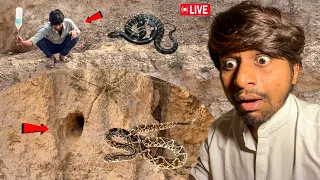 😱 Real Snake Mil Gaya 🐍🫣 Sirf 5 Minutes Me!