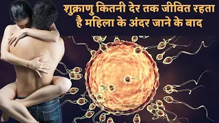 How long does sperm live after sex, शुक्राणु का ज़िंदा रहना और अंडे तक पहुंचना पूरी जानकारी