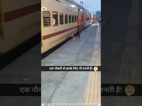 रेलवे स्टेशन पर नौकरी करने वाला कुत्ता😱😱 #shorts #youtubeshorts #dog
