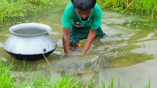 amazing hand fishing video  - Smart boy catching fish by hand  from mud water  part -170