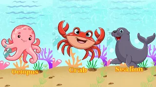 Sea animals | bé học tên con vật biển | English for kids