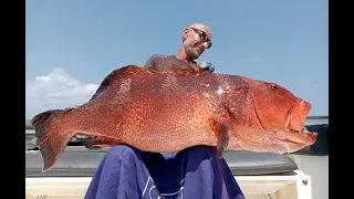 Emeraude Fishing - Popping & Jigging - X-trem - Season 2024