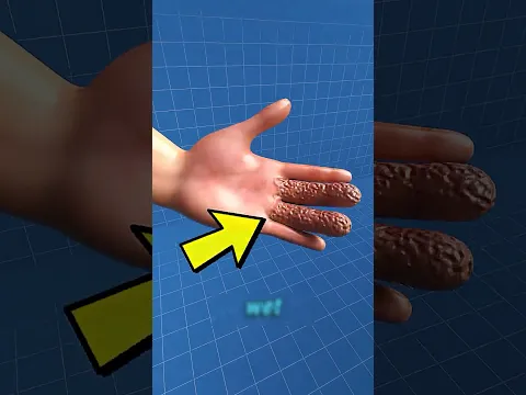 Why Your Fingers Get Wrinkly in Water (Explained Simply)!? 😁