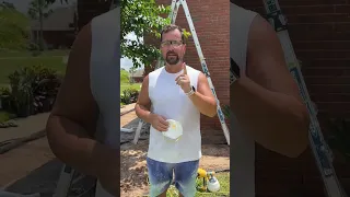Are you Team Limewash or Team Natural Brick? #diyhome #painting #housepainting #homeimprovement #diy