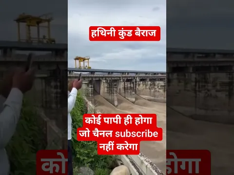हथिनी कुंड बैराज#viralshorts #24hoursrain #punjabnews