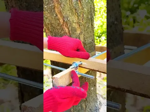Ya el arbol es util y con esto es mucho mejor