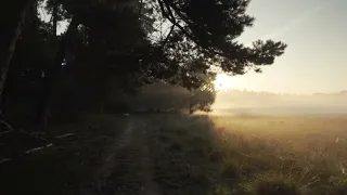 Jésus Revient (Avertissement)