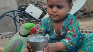 Gilass Mein Parrot Ko Pani Pila Rhi Hie || Pets Vlog 3 September 2024 || Anwar Shah Ustrana Official