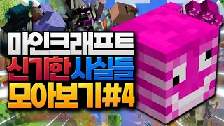 마인크래프트 신기한 사실들 모아보기 #4 (Minecraft) [블루위키]