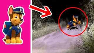 7 PAW PATROL Captados en CÁMARA Y Vistos En La VIDA REAL