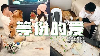 還是路虎有心啦，讓我們兩個大朋友也能做回無憂無慮的小朋友~#金毛路虎#遇見美好初夏