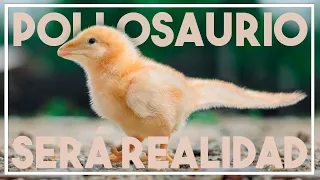 El POLLOSAURIO de Horner: ¿cuándo será realidad?