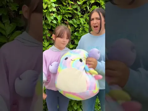 Squishmollow or me