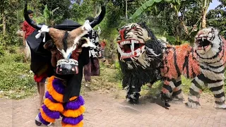 BANTENGAN NGAMUK NGEJAR BARONGAN
