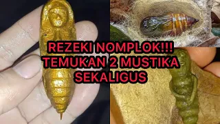 REZEKI NOMPLOK, 2 MUSTIKA SEKALIGUS DI DALAM 4 KEPOMPONG EMAS