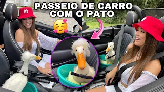 MEU PATO ANDOU DE CARRO PELA PRIMEIRA VEZ 😍