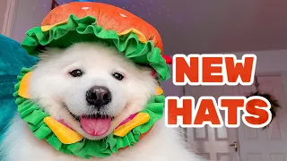 I Got New Hats 🐸 Let's do some online shopping together