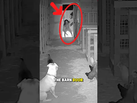 Dog Protects Barn Animals as Skinwalker Rushes In 😱🐺 #god #viral #shortvideo