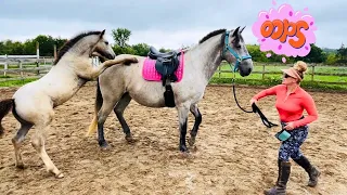 TACKING UP BELLE FOR THE FIRST TIME! WHAT HAPPENED?