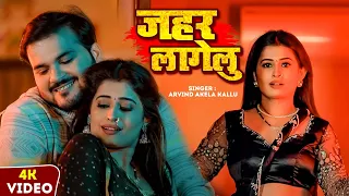#Video | जहर लागेलु | #Arvind Akela Kallu | Ft.Ankita Pandey | Jahar Lagelu | New Bhojpuri Song 2025