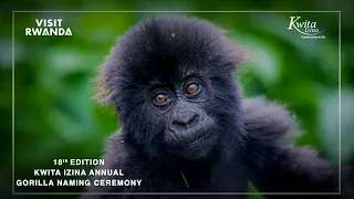 Rwanda's 18th Edition Kwita Izina Gorilla Naming Ceremony | Kinigi 2 September 2022