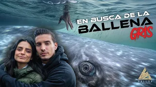 Viajé con mi hermana para tocar una BALLENA... ¡Esto fue lo que pasó! | Vadhir Derbez