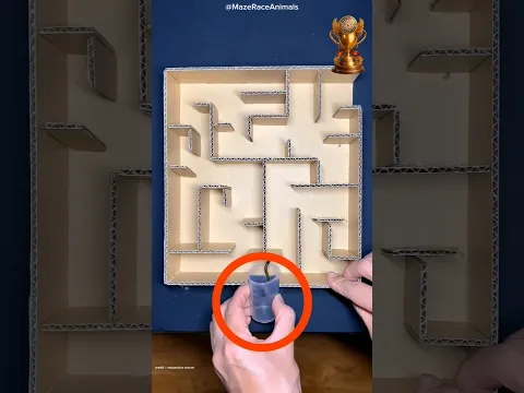 #dios