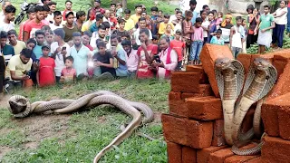 झारखंड के ईंट भट्ठे में जब दिखाई मिला यह जोड़ा, पूरे गांव में मचा अफरा तफरी 😱 देखिए कैसे पकड़ाया गया