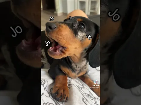 Y ASÍ SE RÍE LA A JAJAJA