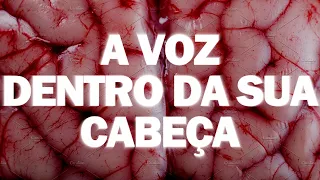 VOCÊ SABE COM QUEM TÁ FALANDO?