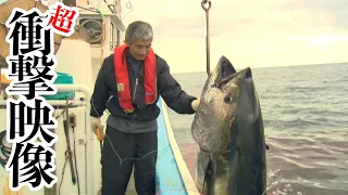 日本一の大間のマグロが衝撃的大きさだった・・・