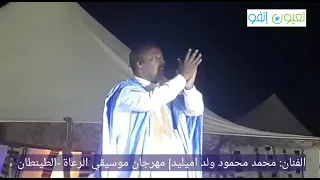 الفنان محمد محمود ولد اميليد