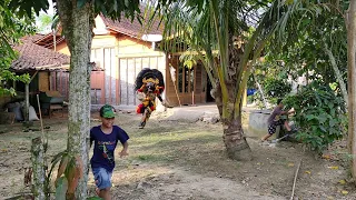 Barongan Gendruwon Ngamuk Ngejar Provokator!! Arak Arakan Barongan Taruno Adi Joyo