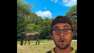 Vlog Off - Zoologico