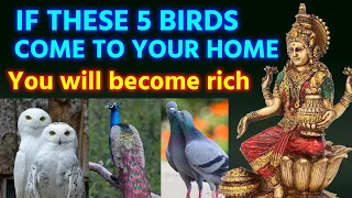 If These 5 Birds Come To Your Home Wealth And Prosperity Will Increase