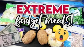 EXTREME BUDGET MEALS 💵 5 FAMILY DINNERS FOR $25 😲 @Jen-Chapin & @thesimplifiedsaver $5 DINNERS!