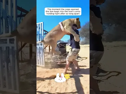 Touching reunions between animals and their beloved humans