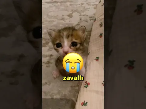 Kumdan Kalesiyle Herkesi Şok Etti! 🏰🔥