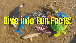 Ocean Creatures Fun Facts! Learn with Toy Animals for Kids 🐠