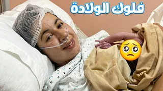 فلوك الولادة