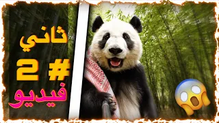 فلوق الرعب: طلعت أدور أكل وتورطت في الغابة المظلمة! لا تشوفه بالليل 😱👻)