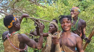 See How Hadzabe Catch Antelopes