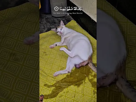 #anime #art #automobile #trending #تيك_توك #لايك #سبحان_الله #funny #shortvideo #اكسبلور