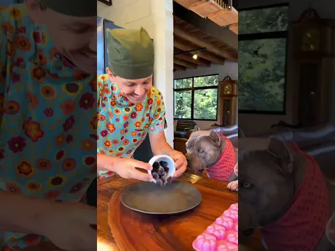 soy el perro arandero más guapo? #viral #perros #perrofeliz #dúo