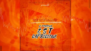 Mr Stiflamme - LE PORTEUR EST CAPRICIEUX ( Audio officiel )