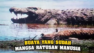 GUSTAVE Buaya Raksasa Afrika Paling Ganas Dan Ditakuti Di Dunia
